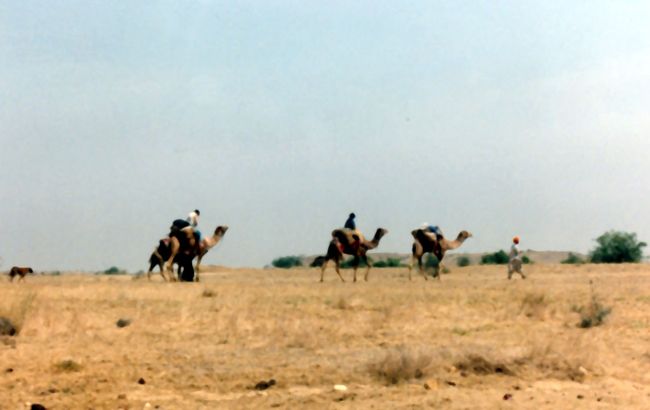 周囲の風景から、少しずつ草木が消えていく。<br />いつしか景色は砂色に変わってきていた。<br /><br />そして、俺の尻も、少しずつ赤く腫れてきた。