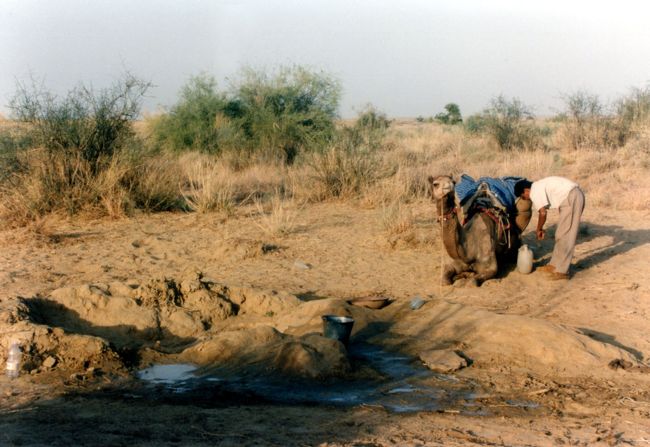 旅日記<br />『水』<br /><br />あれほどじりじりと照りつけていた太陽が、気がつくとだいぶ西の空に傾いていた。<br />ラクダも疲れたらしく、足取りも重い。<br />もうそろそろ、今夜の野営地にたどり着いてもよさそうなもんだが、肝心のガイドは「まだだ」としか言わない。<br /><br />日中、このガイドの小僧が話した事は、チップの事と水が足りないと言う事だけだった。<br />確かにこのツアーは、噂通り、ガイドの質は最悪らしい。<br /><br />全くひどいガイドだった。<br />「どこそこの白人は、これだけチップをくれた」<br />「お前は日本人だから、これだけくれ」等々、、<br />金をせびる話は、とめどなく話すくせに、肝心のガイドに関しては「知らない」「まだだ」の２つの言葉しか話さない。<br />挙句の果てに「水が足りない」などと、とんでもない事を言い出した。<br />この荒野で一日分の水も用意しないでツアーに出るなんて普通では考えられない。<br />（まぁ、インド人ならありかもしれないが・・）<br /><br />太陽が地平線にダイビングする頃、ラクダが急に足早に歩き出した。<br />その方向には草木が茂っている。<br />植物が育つと言う事は、どうやら水があるらしい。<br /><br />ガイドの小僧が、久々に違う言葉を言った。<br />「あの泉で水を補給したら、もう少しでキャンプ地だ」<br /><br />・・・おい、まだ進む気か？