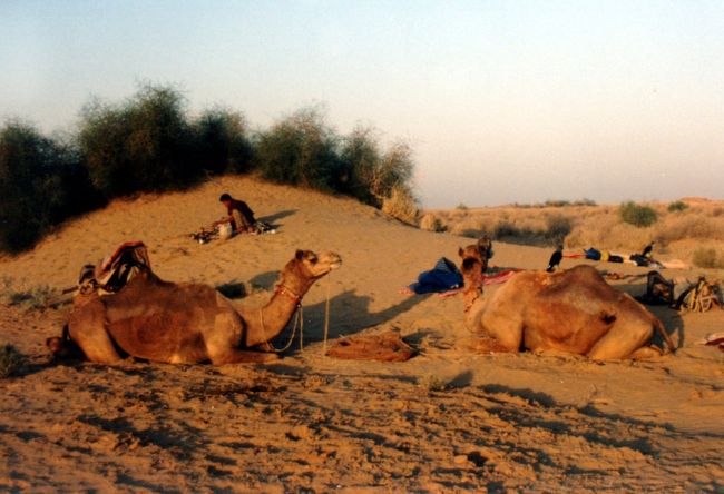 噛み千切ったチャパテイの穴の向こうで、太陽が砂の地平線に消えようとしていた。<br />