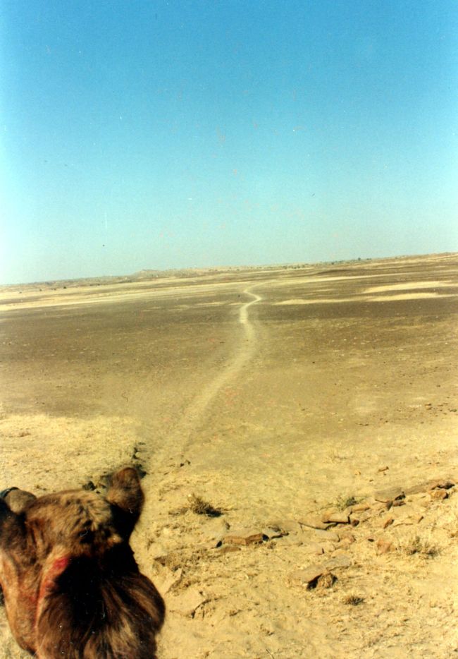 旅日記<br />『らくだレース』<br /><br />俺のラクダの名前は、「ボア」と言った。<br />現在ボアは、口から泡を飛ばしながら、荒野を突っ走っている。<br /><br />まるで、テレビで観たロデオだった。<br />上下左右に激しく視界が揺さぶられる！<br />身体の方は、ふっと宙に浮きあがったかと思えば、次の瞬間、腰骨が砕けそうな勢いで鞍の上に叩きつけられる！<br />５分で胃下垂になってしまいそうな気がする。<br />ふたコブなら、前方にしがみつくこぶがあるのだが、ボアの奴はけちって、ひとコブしか背負ってない。<br />しかも、このひとコブが、背後から俺の背中にぶち当たる！<br /><br />世界中で一番乗り心地の悪い車は、戦車だと言うが、一番乗り心地の悪い動物は、走るラクダじゃないだろうか？<br />せめて馬のような軽やかなストロークで走ってくれれば、少しは振動も収まる気がするのだが、このラクダと言う動物は、前足と後ろ足を交互に「ハの字」に広げて走る。<br />前から見たら、ずいぶん間抜けな走り方だ。<br /><br />しかし、この状態でこの高さから振り落とされ、蹴りこまれたら生存できる気がしない。<br />嫌だ！<br />あんな間抜けなストロークで踏み潰されるのだけは嫌だ！<br /><br />ブレーキのはずのたずなを引き絞る。<br />が、しかし、前方を疾走するガイドのラクダを追いかけるのに忙しいらしく、全く止まろうとしない。<br /><br />あのくそったれのガイドが、あまりにもチップの話しかしないので、「うるさい！」と叫んでから、このレースは開始された。<br />あのガイドは意地悪のつもりでやっているんだろうが、こんな事ぐらいでチップなんか払うつもりはもうとうない！<br />こんなに荒れた地面を走っていれば、ラクダの方で疲れて止まるだろう。<br /><br />小高い丘を越えると、砂地が地平線の彼方まで続いていた。<br />・・・嫌な予感がする。<br /><br />案の定、ボアはさらにスピードを上げやがった。