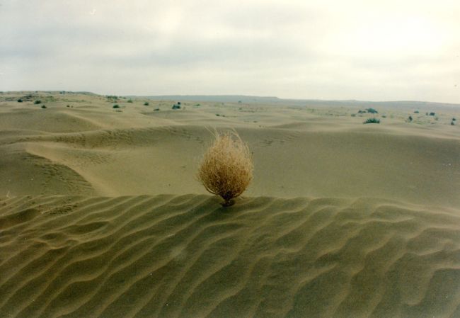 急激に地面がもろくなってきた。<br /><br />とうとう「サム砂漠」に到着！