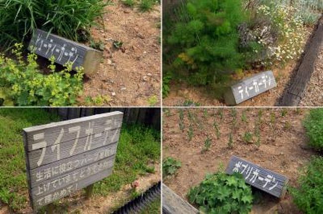 あなたを癒すカモミール 青山高原のハーブガーデン 伊賀 上野 三重県 の旅行記 ブログ By たらよろさん フォートラベル