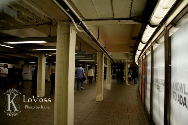タイムズスクエアーの駅からセントラルパークまで。<br /><br />駅の構内は殺風景です。<br />中心部なので、観光客ばかりでした。