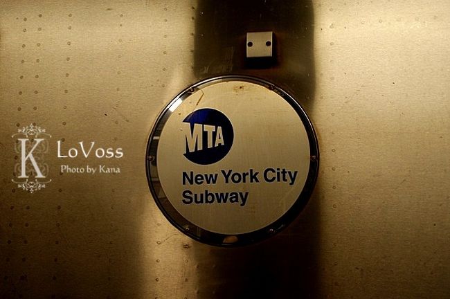 地下鉄の中。<br /><br />地下鉄は1日乗車券がありました。<br />何度か乗るようなら毎回買うよりお得。<br /><br />治安もそんな悪くないですが<br />たまたま隣に座った黒人の男の子が<br />露出狂だったらしく、焦った場面もありました。<br /><br /><br />