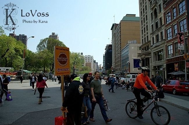 ユニオンスクエアの近く。<br /><br />Barnes &amp; Nobleという大きな本屋さんに<br />行ってみました。<br />ここで料理の本や参考書を買いました*<br /><br />なんでも揃ってって、お土産になりそうな物もあり<br />楽しめます！