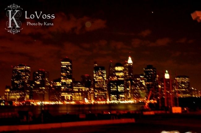 バスに乗ってブルックリンへ。<br />マンハッタンを川の向かいから眺めました。