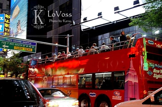 このバス（ダブルデッキ）に乗って行きました。<br />地元の人も乗るらしく、私の隣りに座ったお姉さんは<br />ブルックリンの自宅へ帰宅途中でした。<br /><br />アジア人は私しかおらず、ほぼ欧州人。<br /><br />ガイドは解説で、結構お客に話をふります。<br /><br />英語がわからないと厳しいかも？