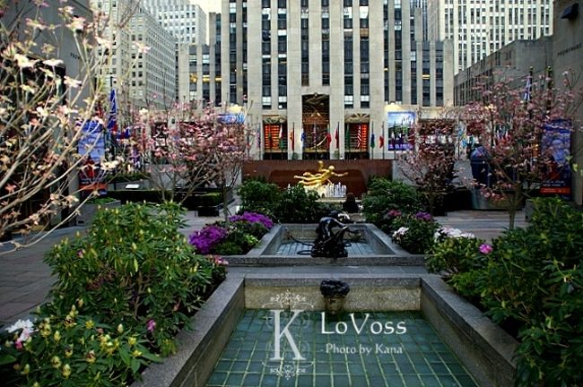 ロックフェラーの前の広場。<br /><br />早朝だったので、掃除しているおじさんのみ。<br />ちょっとお喋りして、帰りにはチョコくれました。<br /><br />