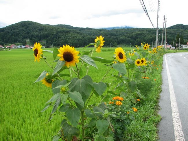 <br />上越へ向かう道端のひまわり<br />上越は　NHKの大河ドラマの天地人ブームでした。<br />高田公園では上越はすまつりと上越オクトーバーフェストがやっていましたが雨に見舞われました。<br />雨が上がったので直江津で1時間ばかりの海水浴をしました。<br />