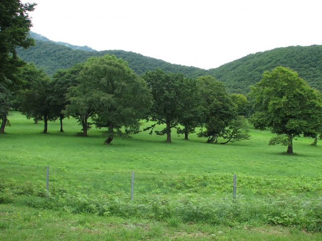 苗名滝からつづら折りのヘアピンカーブを上がること30分で笹ヶ峰牧場につきます。