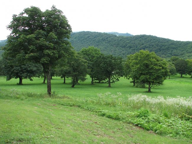 牧歌的な風景が広がります。<br />笹ヶ峰グリーンハウスでソフトクリームをほおばり散策しました。