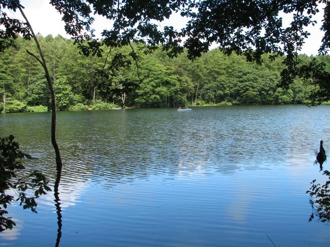 斑尾高原の希望湖（のぞみこ）<br />湖の周り（約3km）を１周します。