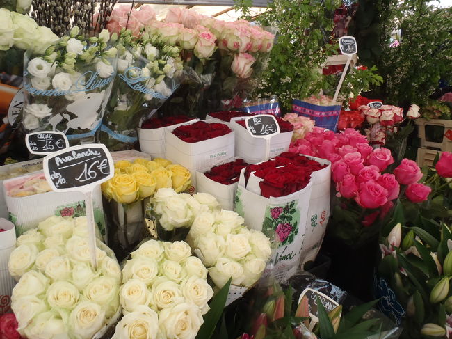 　ここには花も。