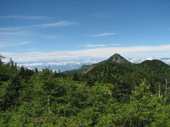 気温20度の風が心地よく涼しい