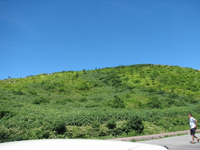 横手山を見上げます。