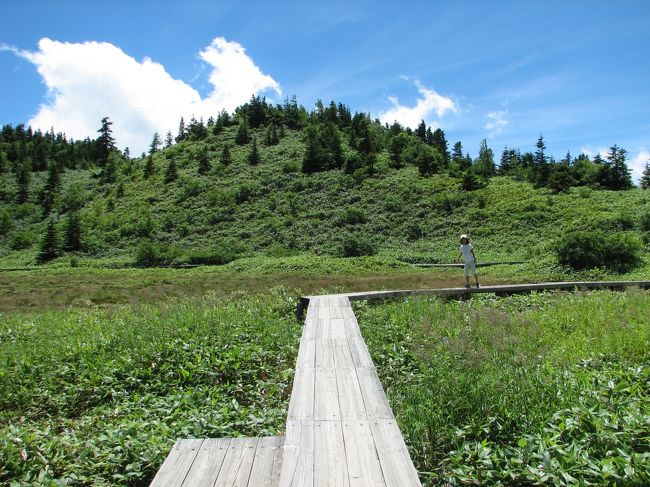 弓池の周りの湿原を散策します。