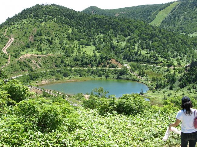 木々の緑が美しい弓池<br />