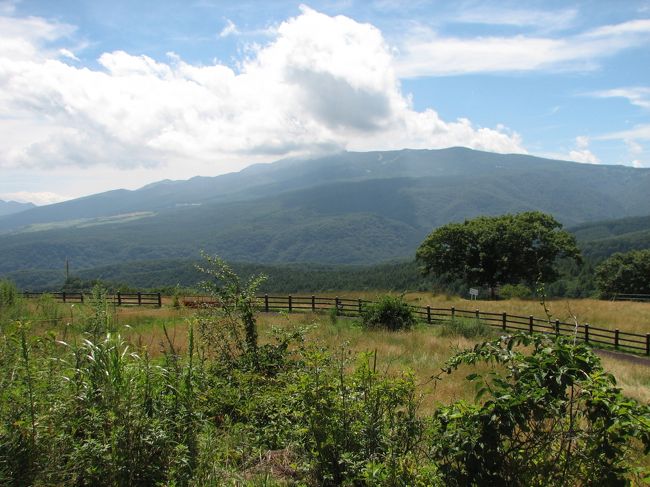 万座ハイウェーをぬけて嬬恋牧場から浅間山方面をのぞみます。