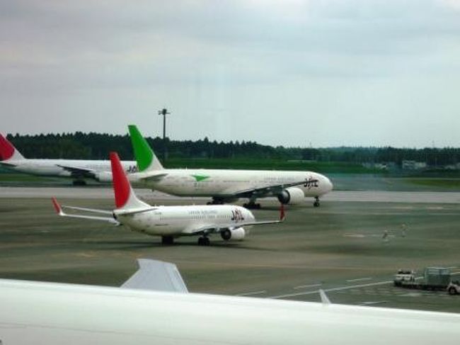 おしりが緑のJL。エコジェット。