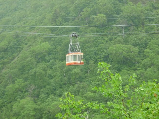 立山ロープウェイにて大観峰から黒部平に移動。所要時間はおよそ7分。<br />このロープウェイは、途中に柱がないロープウェイです。