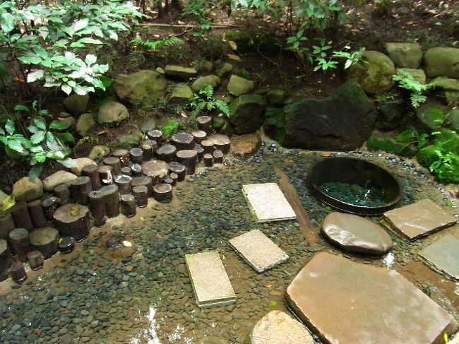 癒しの森 明治神宮にて パワースポット 清正井 を訪れる 原宿 東京 の旅行記 ブログ By だんぞうさん フォートラベル