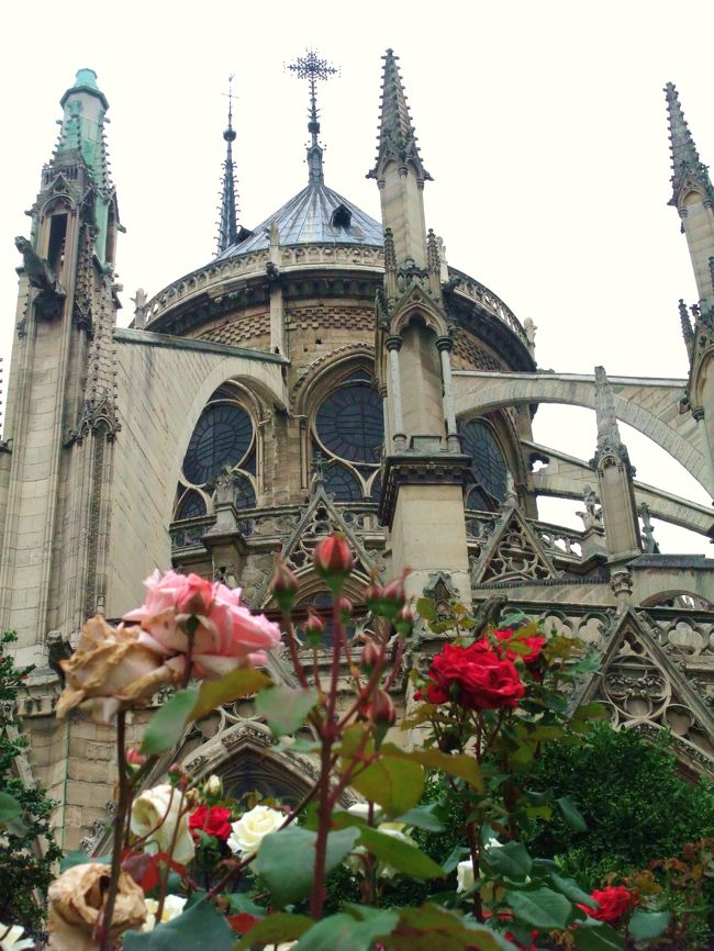 ノートルダム聖堂の裏の小公園にはバラが良い香りを漂わせていた。