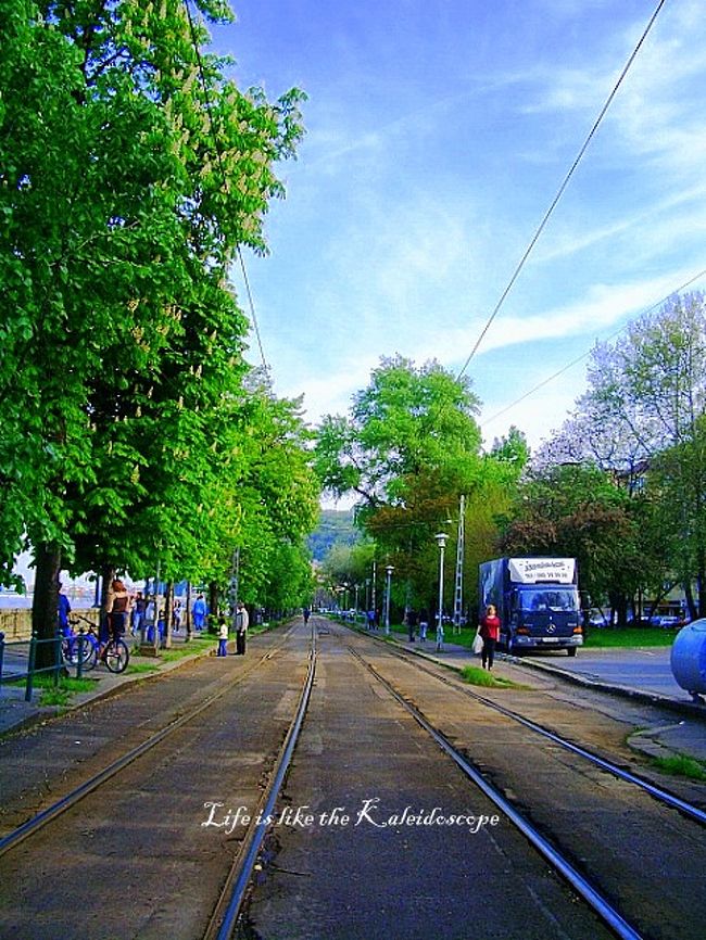路面電車の線路がありました。<br /><br />地物の人は普通に線路の上を歩いておりました。<br />…スタンドバイミー？的な？？ｗｗ<br /><br />何度も言いますが、タクシーは最終手段で！！笑