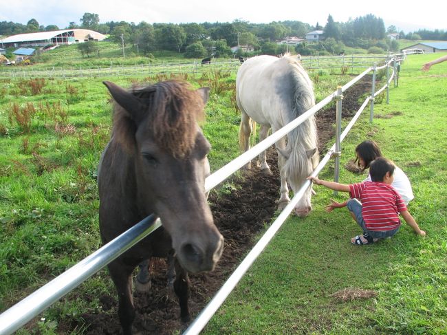 馬とふれあえます
