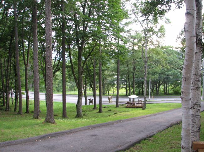 美しい白樺の林の中にあります。