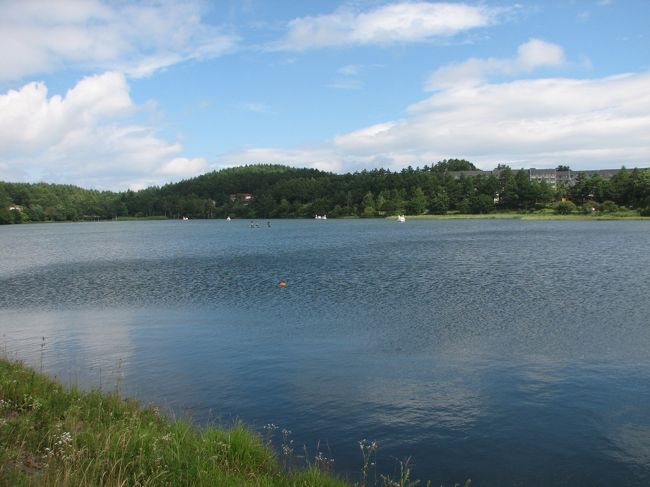 女神湖湖畔の遊歩道を散策します。<br />気温も20度くらいで涼しく過ごせました。