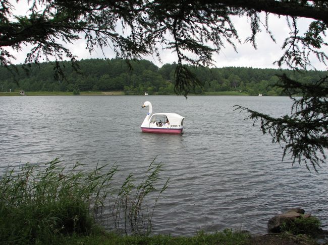 湖面からの風が心地よい