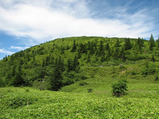 緑が眩しい<br />