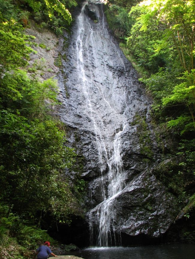 丹後に行く途中に寄った京丹波町の琴滝です。<br />落差約43ｍの水が13弦の琴の糸のように<br />見えることから「琴滝」と呼ばれるそうです。<br />ここでは、とんぼに沢ガニに会いました。