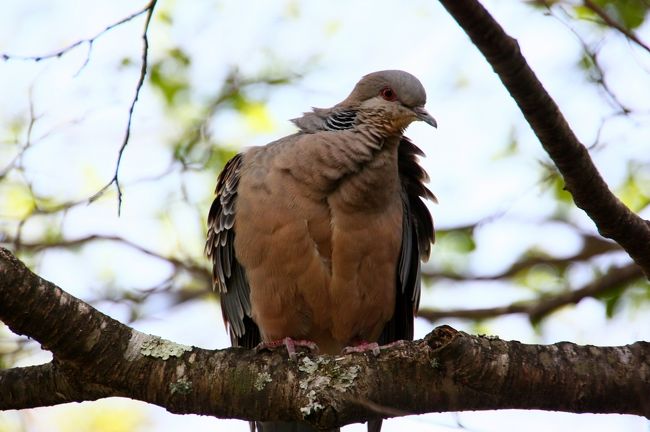 う〜、さっぱりしたぁ (*^。^*)