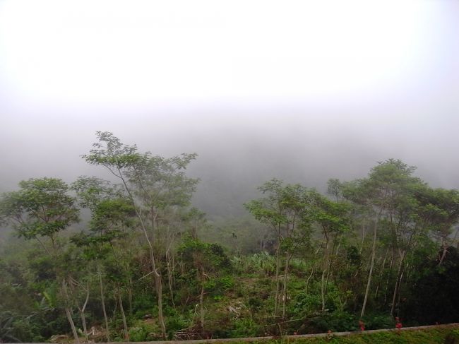 さて、ここはどこかというと、キンタマーニ。<br />ガイドが言うから来たけど、とにかく白一色。霧が濃すぎて５ｍ先もよくわからない・・・<br />ガイドブックにあるように風光明媚で眺めが最高かどうかなんて、全くわかりませんでした。<br />ランチはインドネシア料理のビッフェでしたが、スカスカのツアーで行くと必ずこのお店なのでしょう。連れてこられるがまま食べましたが、「グランド・プンチャッ・サリ」というお店だと思います。<br />特筆すべきことといえば、、、<br />バナナの天ぷらはさつまいもの味がしました。<br />コーヒーにミルク入れようと探すと、普通のミルクはなく、コンデンスミルクが用意されてました。普通のおいといてよ。<br />あとやたらと店員が多く、皿持って何食べようか物色してると、明らかに余ってる店員が勝手に皿に色々盛ってきます。<br />私に選ばせてー！<br />