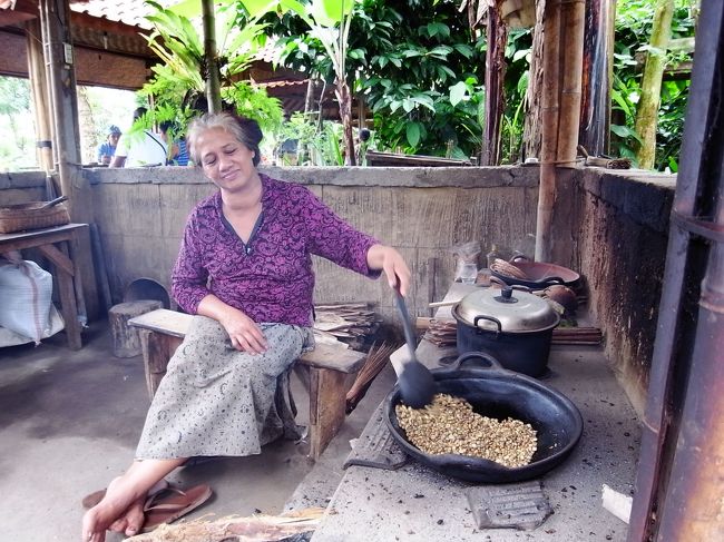 少し標高が下がると、白一色の世界から解放されました。<br />ここはまだキンタマーニ近郊だそうですが、コーヒー農園にやってきました。<br />おばあちゃん、豆をローストしてるようですが、観光客が見てる時しか鍋をかき混ぜません。<br />