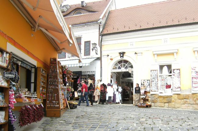 更に先に進むと土産物屋街