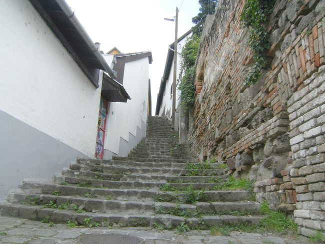 展望台目指して石段を登る