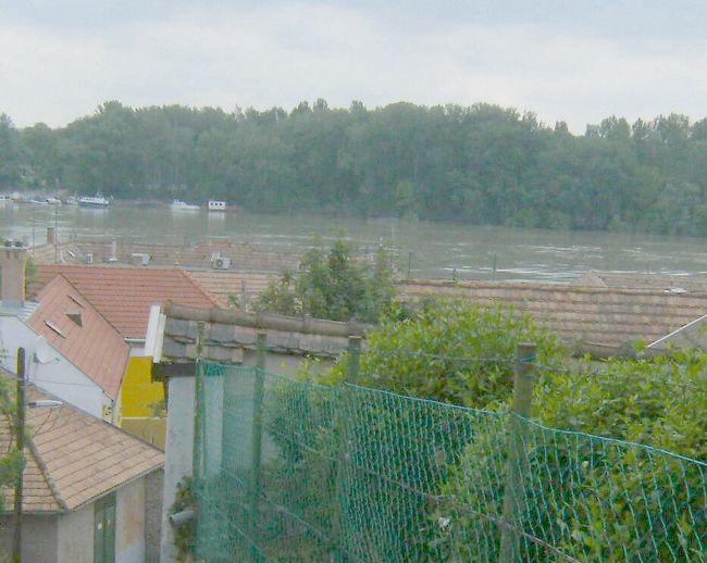 ドナウ川が見えて来た