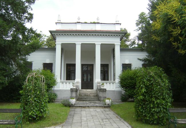 建物の前には枝垂れ桑