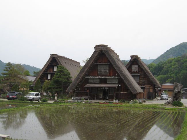 白川郷の合掌造り。田植えも終わり。