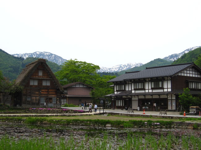 白川郷の合掌造り。