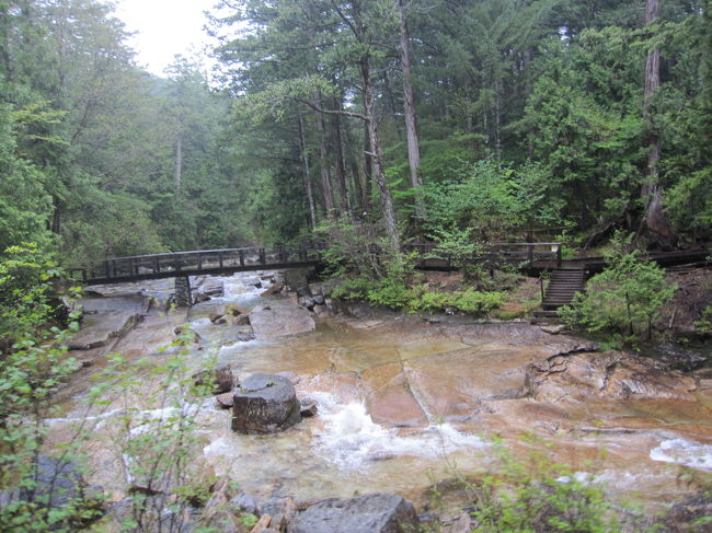 赤沢自然休養林の森林鉄道を行くトロッコ電車から見た風景。雨のせいもあり、滅茶苦茶寒い！晴れた紅葉の日にぜひ森を散策に戻って来たい・・・