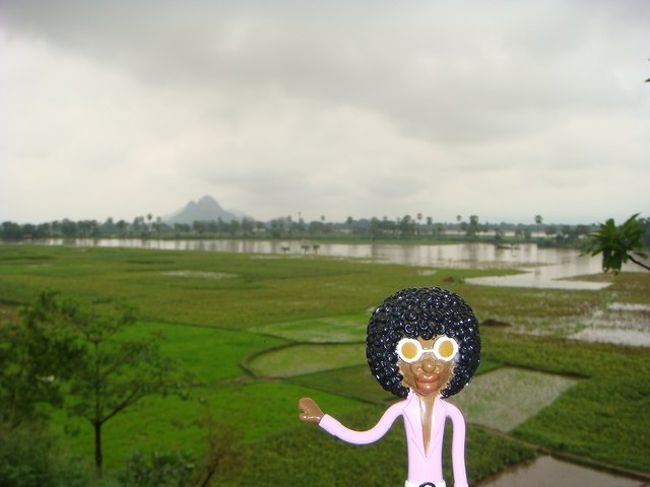 目が緑に癒される♪