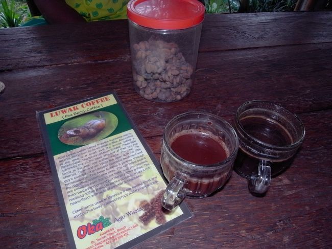 色々試飲させてくれました。<br />コーヒー、ジンセンコーヒー（高麗人参入り）、ココア、ジンジャーティー、レモングラスティー。<br /><br />この農園の入り口にジャコウネコが檻で飼われてたのですが、この猫とコーヒーとの関連性がわからなくって、我らがガイドのタマンちゃんに質問したところ、「ジャコウネココーヒーは元気になるよ！」って回答。<br />日本語上手だから普通にしゃべってたけど、何度か聞き直そうとしても質問の意図が伝わらなくって、あーそういや外人だったのねと改めて思った瞬間でした。<br /><br />日本に帰ってきて『ルワックコーヒー』で検索してやっと意味がわかりました。<br />