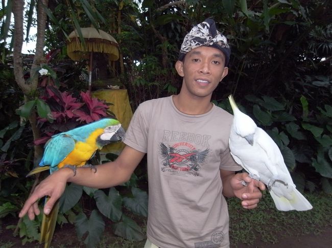 ブランコミュージアムに入るとお姉さんがサービスのドリンク持ってきてくれます。知ってる味なんだけど、なんの味だか思い出せなくってモヤモヤ気分、でもすごいおいしかったです。オウムもいたりなんかして。<br /><br />さっきから飲んでばっかなんですよね。飲むとすぐトイレに行きたくなっちゃって、見て一瞬おじけずきましたが、ここで初めて手桶で流す和便風トイレを経験しました。<br />後でミュージアムの中に普通のトイレを発見して気づきましたが、私たちが使ったトイレは入場券売り場入ってすぐの表示もなにもしてないところで、これ完全従業員用でした。。。<br /><br />