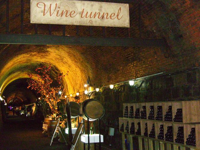 トンネル内は薄暗くヒンヤリ^^;<br /><br />時折 天井からポトン...と雫が垂れる<br />今日は観光客ナシ　静まり返った中に<br />１人っきり＞＜<br />「昔は幽霊トンネルと呼ばれていた」と<br />地元の人に聞いていたので緊張が走る〜<br />足すくむ〜（~ヘ~；）　