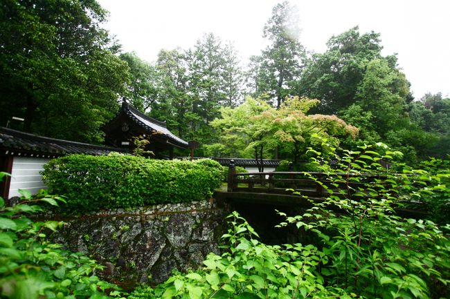 蕎麦屋のおかみさんに教えてもらった通り、一つ目の御門を通り過ぎ進みました。