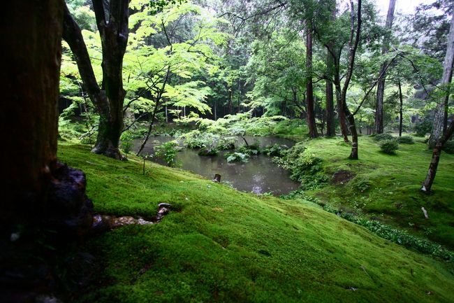 始まりでした。<br />こんなもんかぁ〜<br />(直ぐ間違いに気付く)