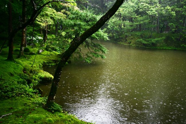 旅友は絶好調。<br />止む気配は無し。。。